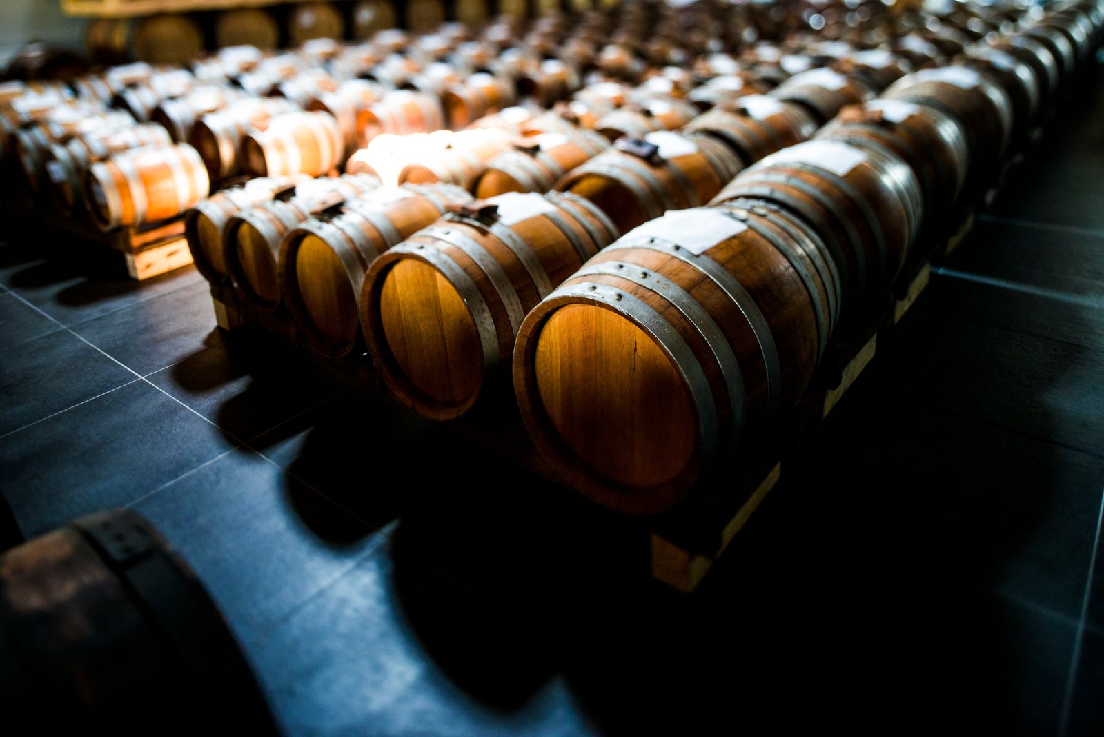 Botti di aceto balsamico allineate nell’acetaia